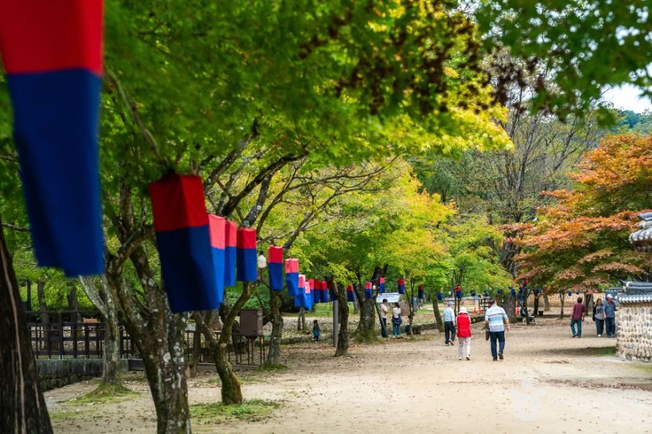 A way to Jangneung Royal Tomb in Yeongwol - one of Korea’s most serene UNESCO World Heritage