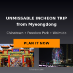 Myeongdong to Wolmido Day Trip (Incheon Chinatown & Freedom Park Guide)