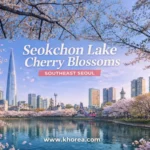 Seokchon Lake cherry blossoms in southeast Seoul with Lotte World Tower - khorea.com
